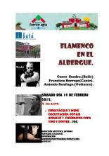 Flamenco en el Albergue Fuente Agria 2